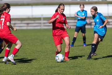 Bild 154 - wBJ TuS Rotenhof - Holstein Kiel : Ergebnis: 1:4